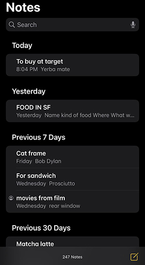lists in my notes app